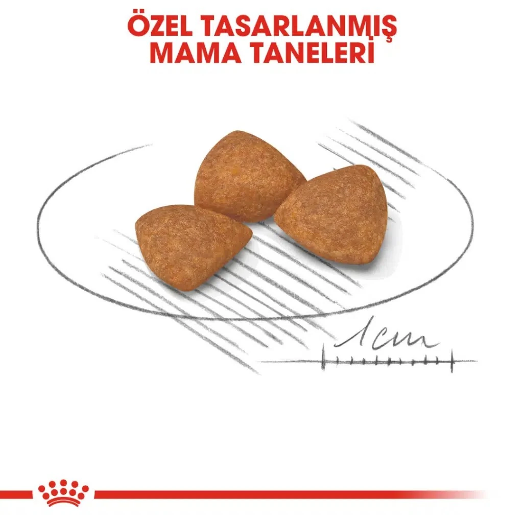 Görsel küçük resim 3