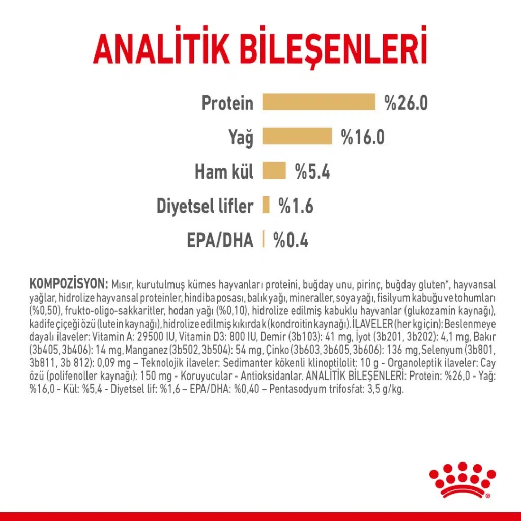 Görsel küçük resim 7