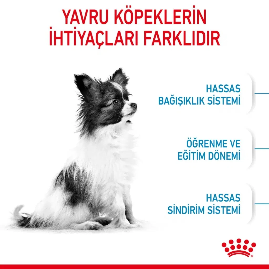 Görsel küçük resim 4