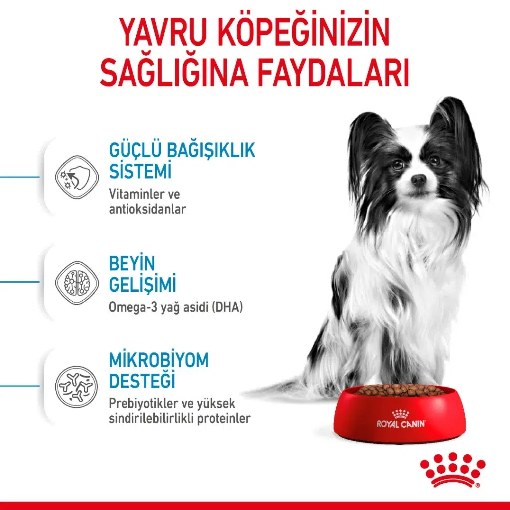 Görsel küçük resim 5