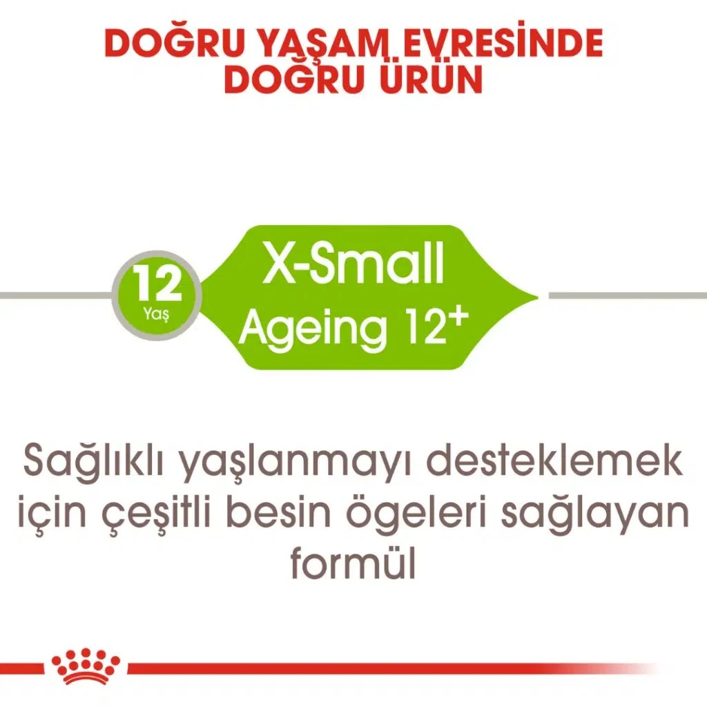 Görsel küçük resim 4