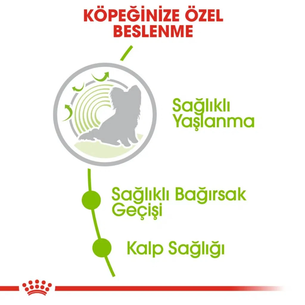 Görsel küçük resim 5