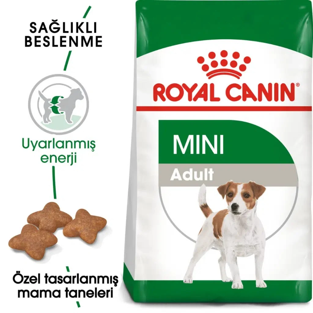 Görsel küçük resim 2