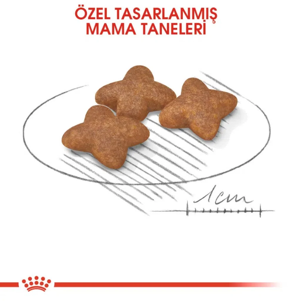 Görsel küçük resim 3