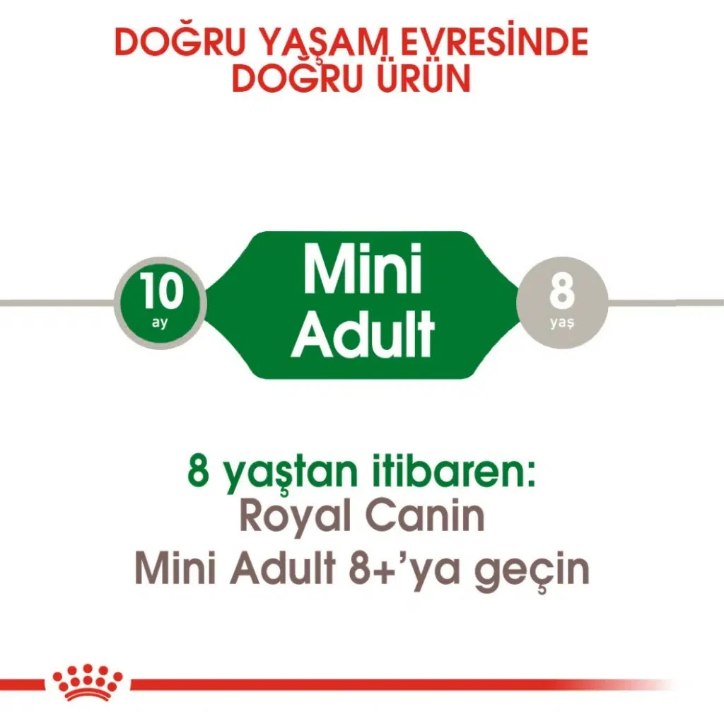 Görsel küçük resim 4