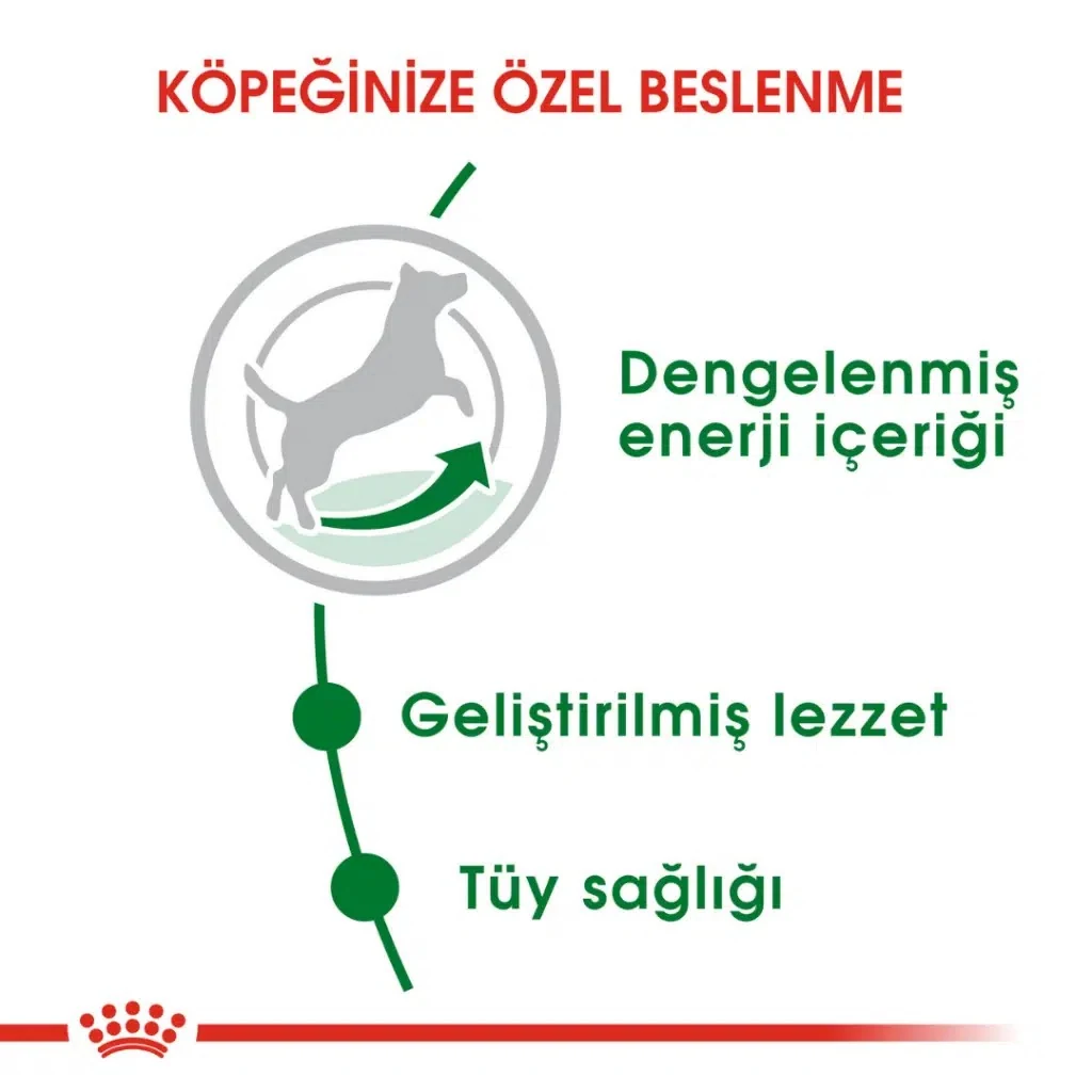 Görsel küçük resim 5
