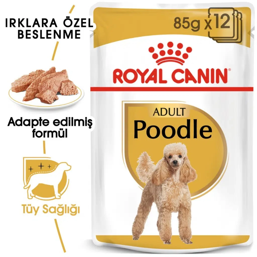 Görsel küçük resim 2