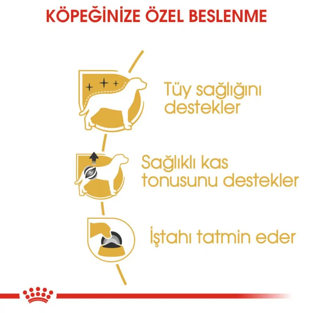 Görsel küçük resim 4