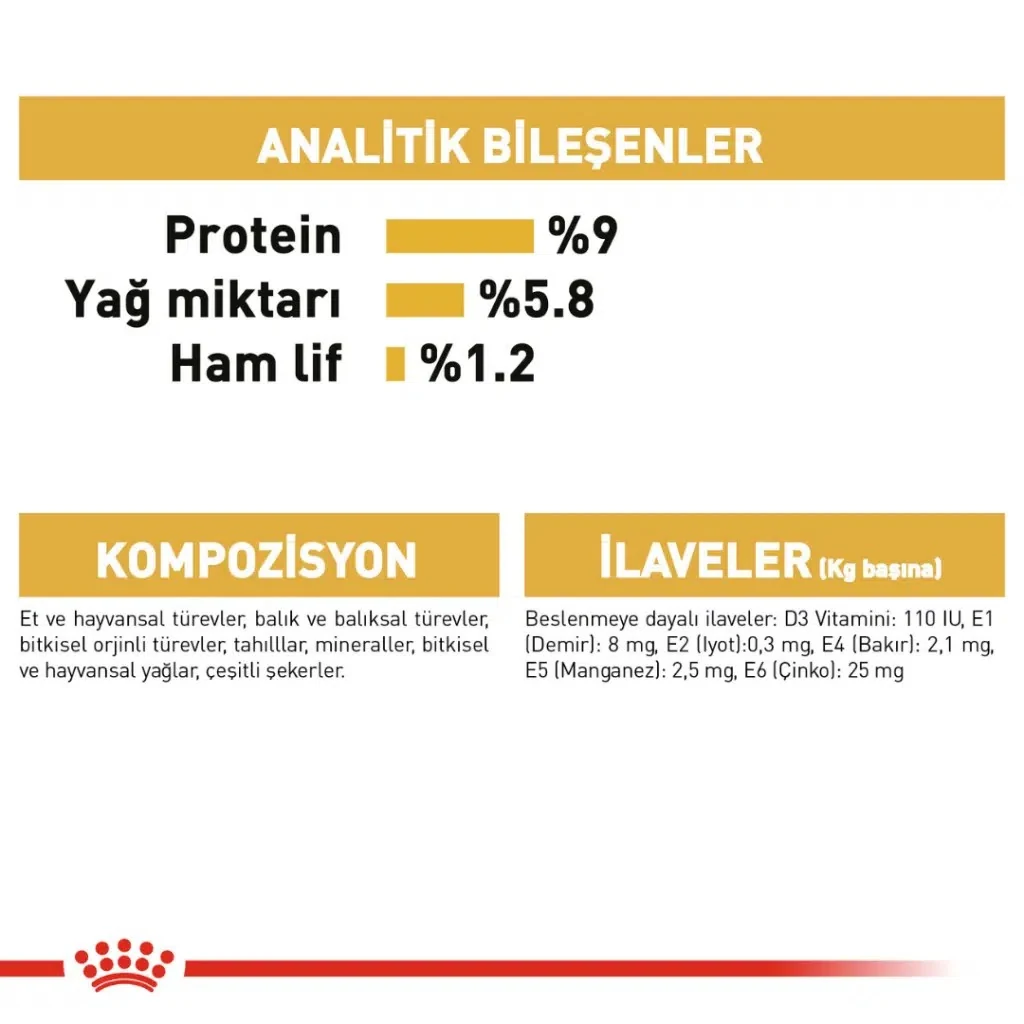 Görsel küçük resim 7