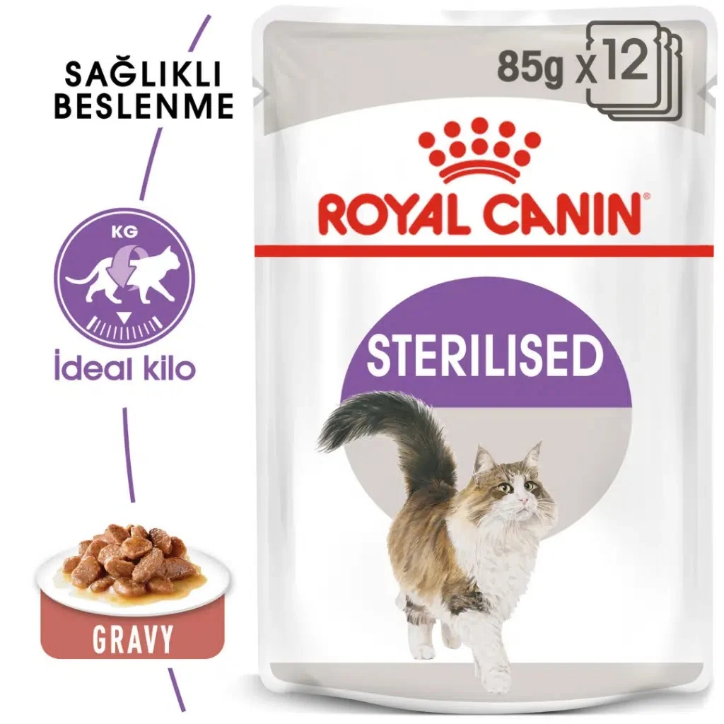 Görsel küçük resim 2
