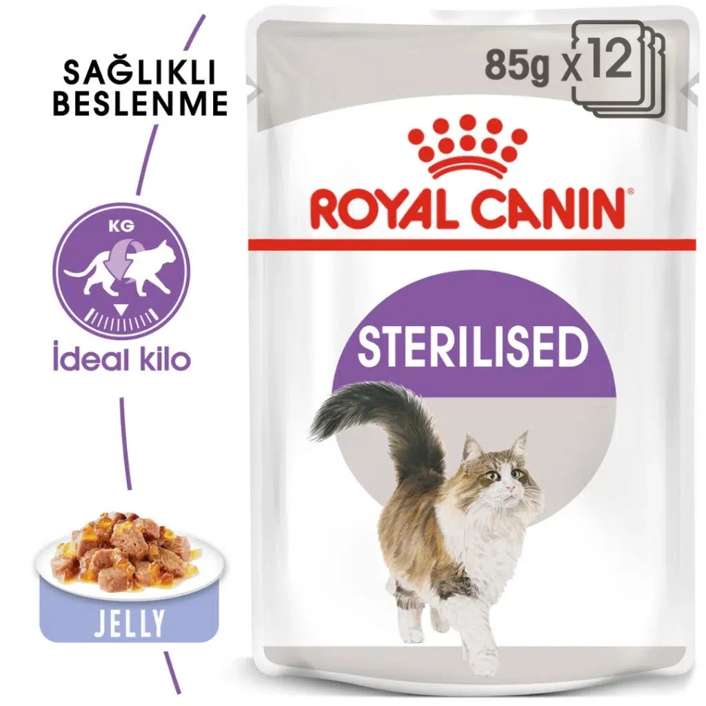 Görsel küçük resim 2