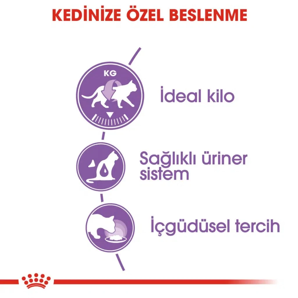Görsel küçük resim 4