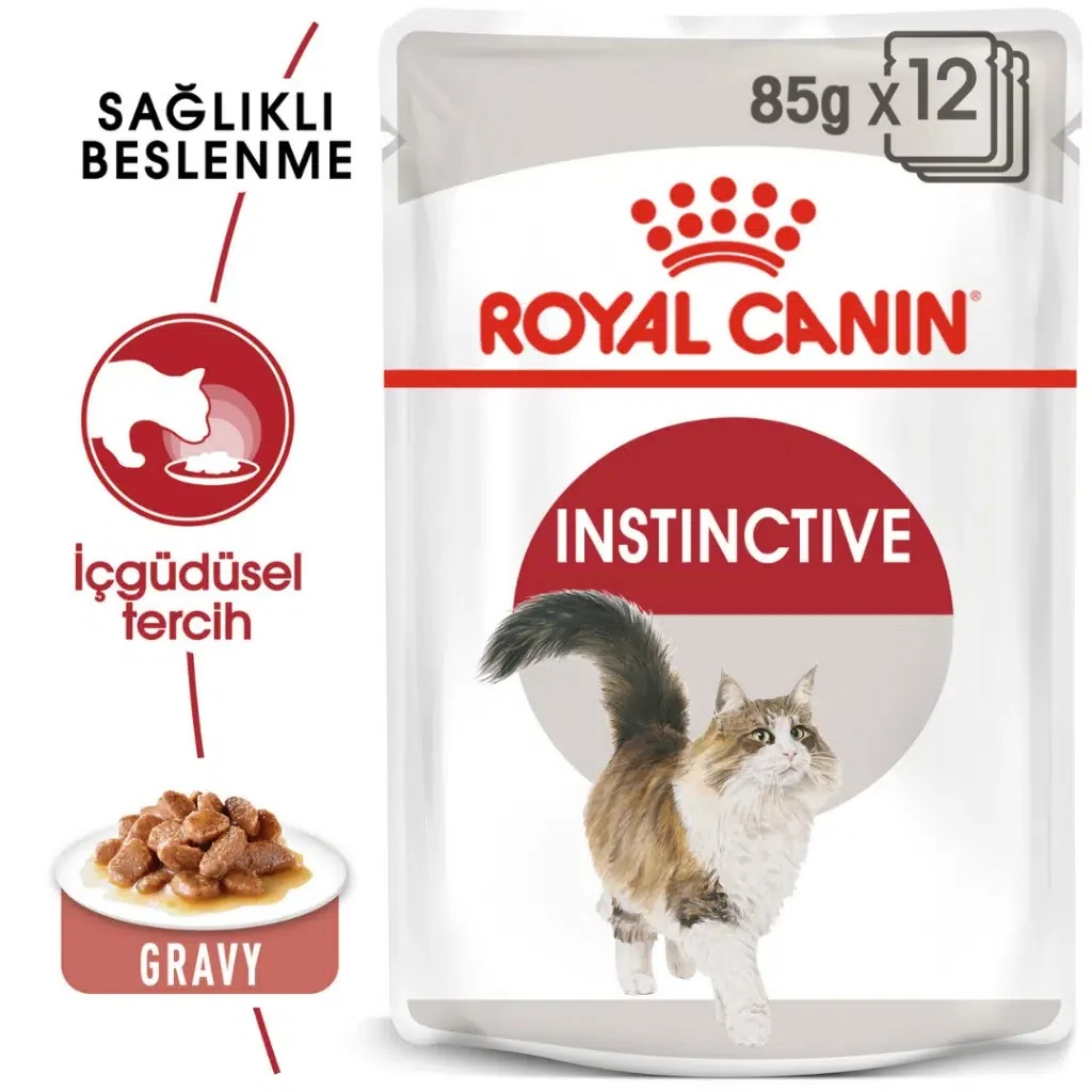 Görsel küçük resim 2