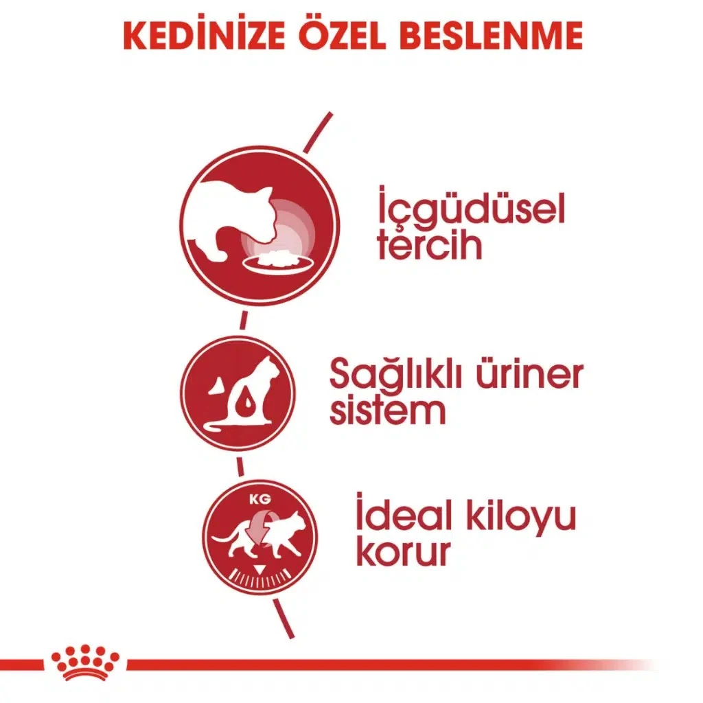 Görsel küçük resim 4
