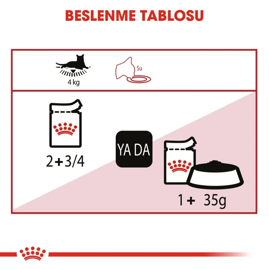 Görsel küçük resim 5