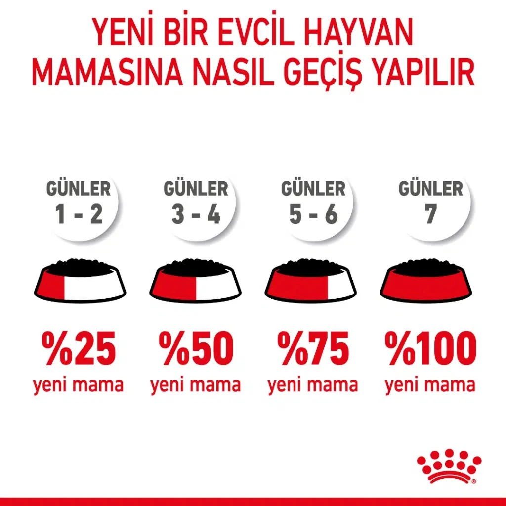 Görsel küçük resim 7