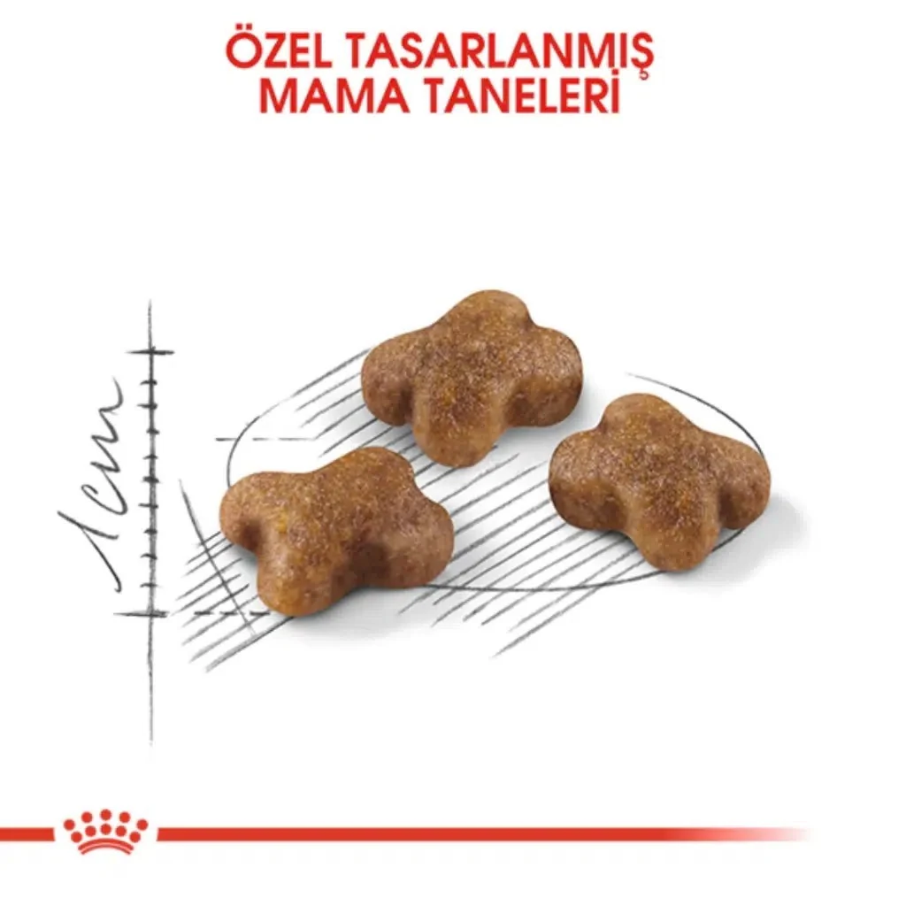 Görsel küçük resim 3