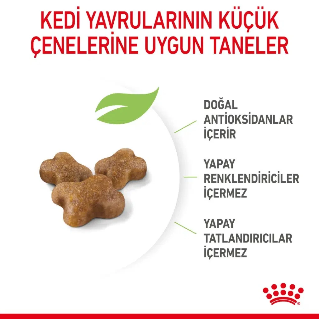 Görsel küçük resim 4