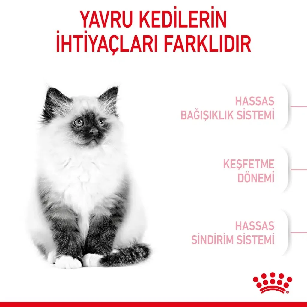 Görsel küçük resim 5