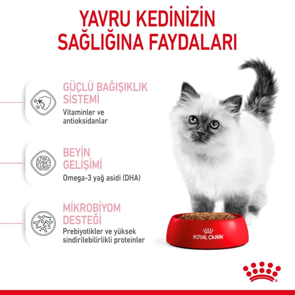 Görsel küçük resim 6