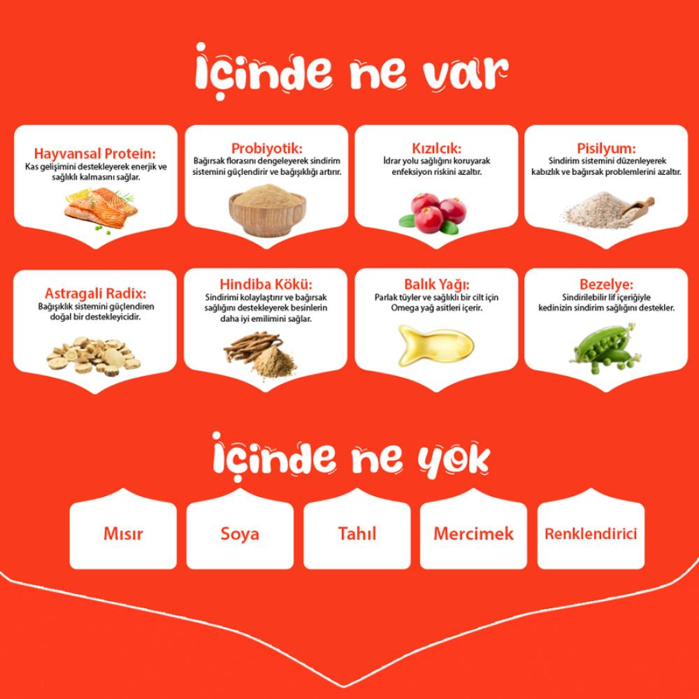 Görsel küçük resim 2