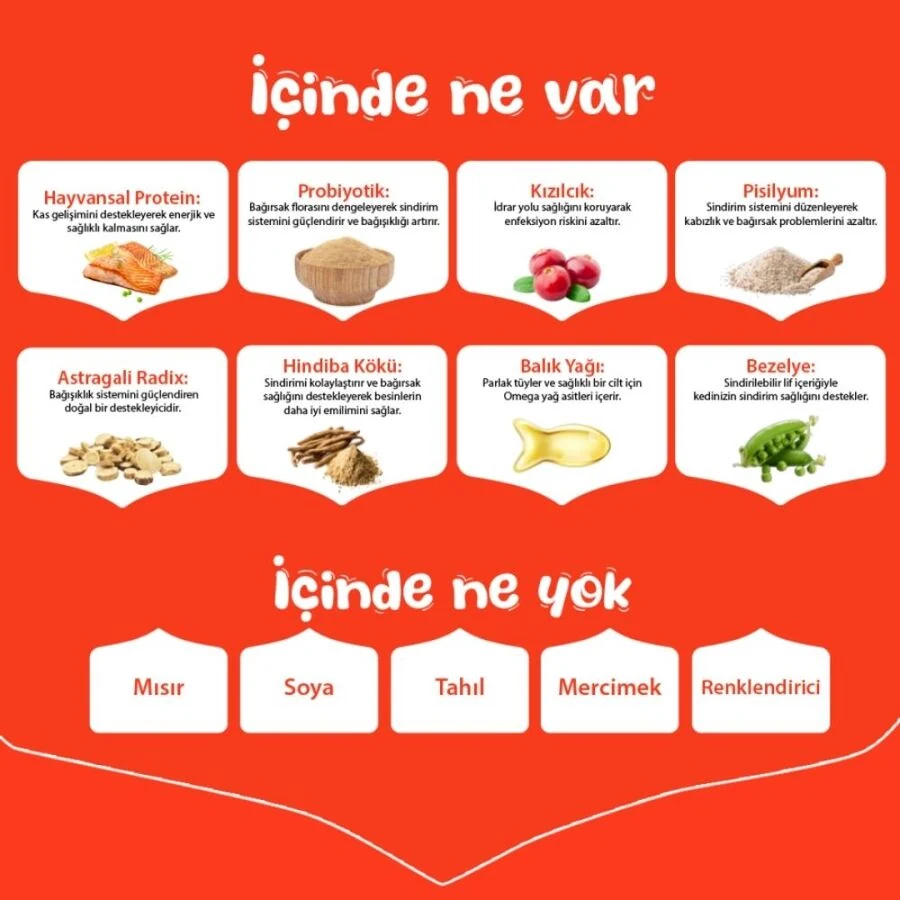 Görsel küçük resim 6