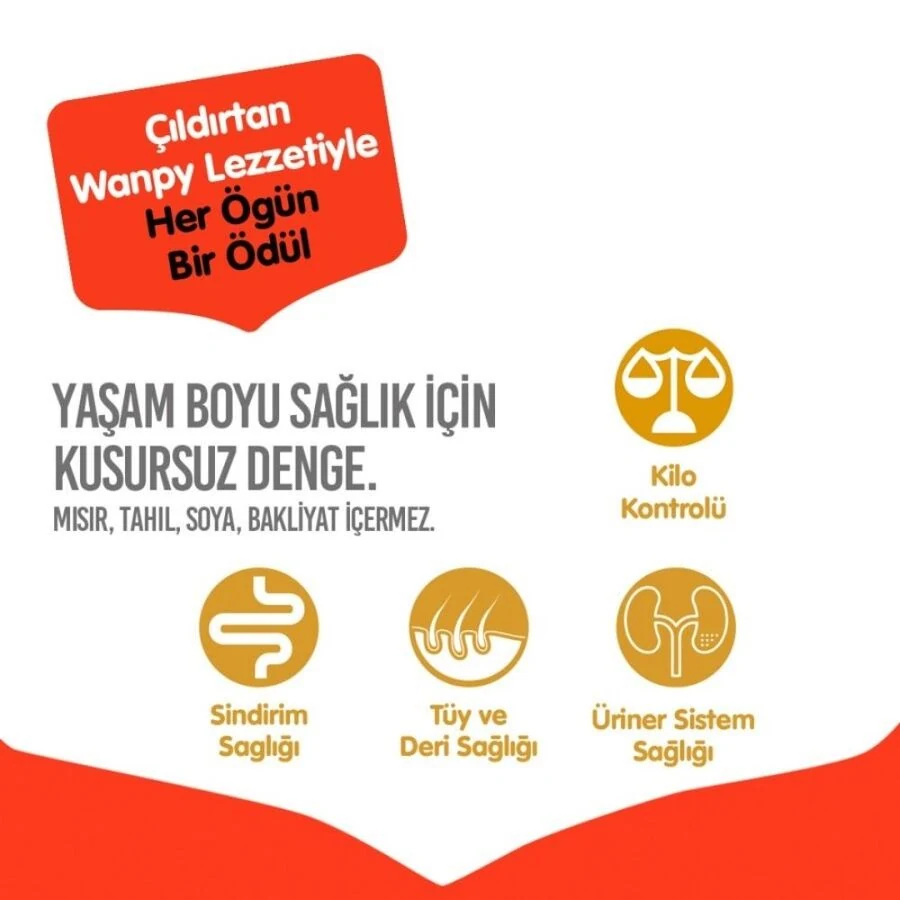 Görsel küçük resim 8