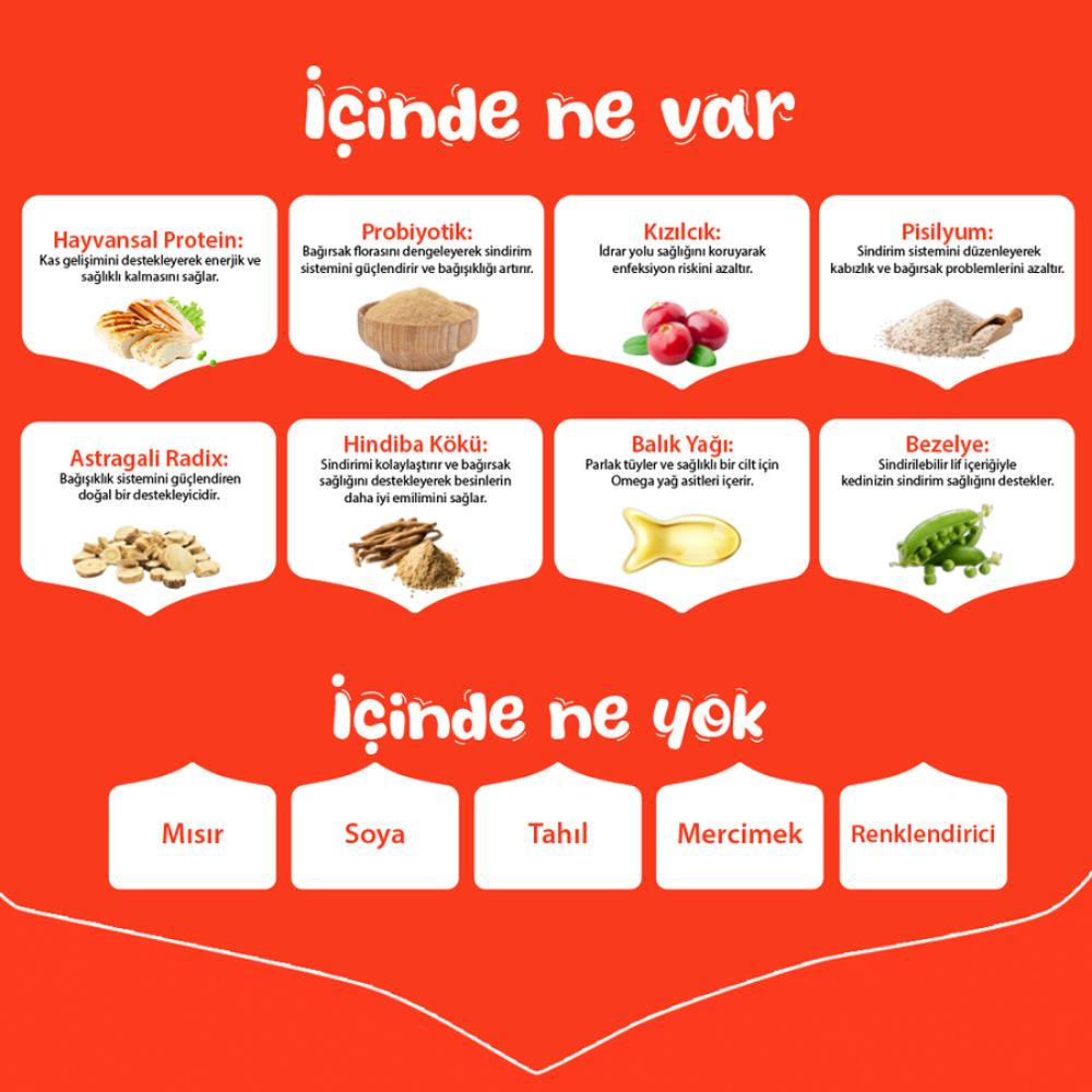 Görsel küçük resim 2
