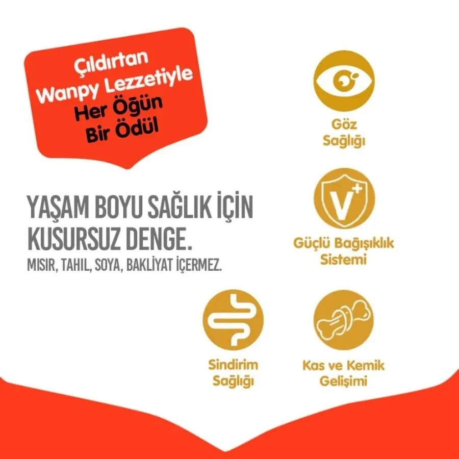 Görsel küçük resim 8