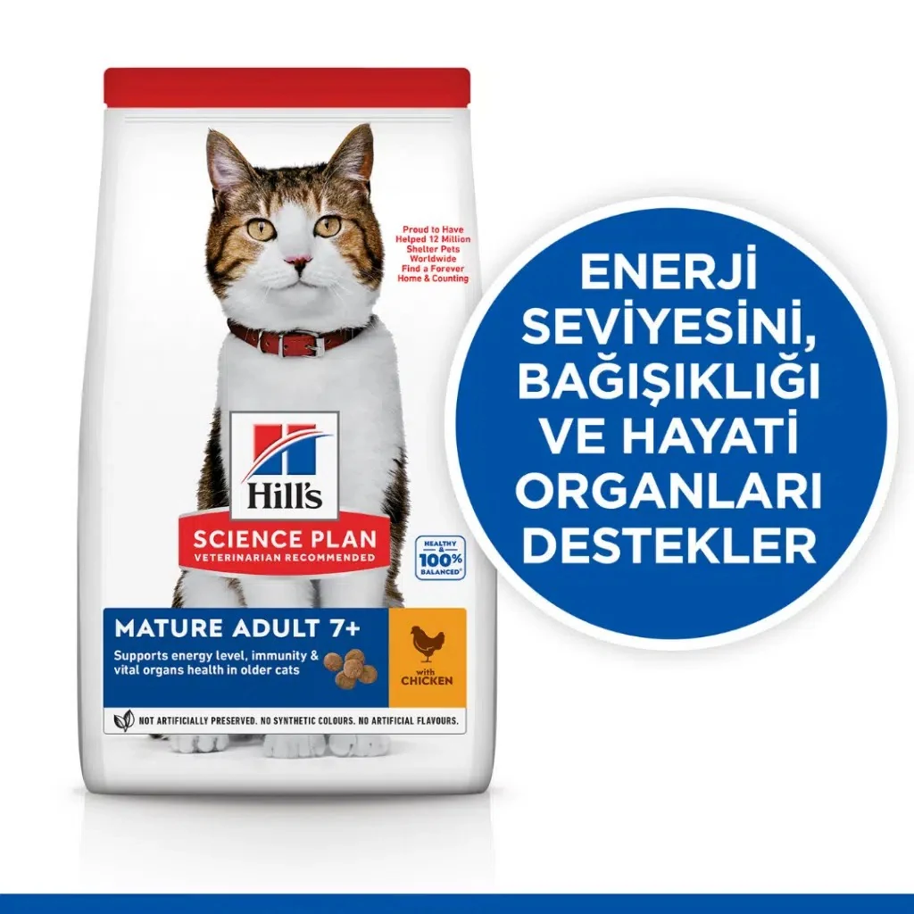 Görsel küçük resim 3