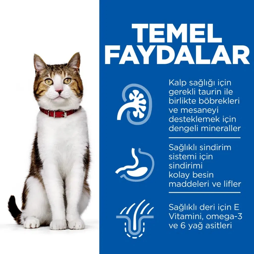 Görsel küçük resim 4
