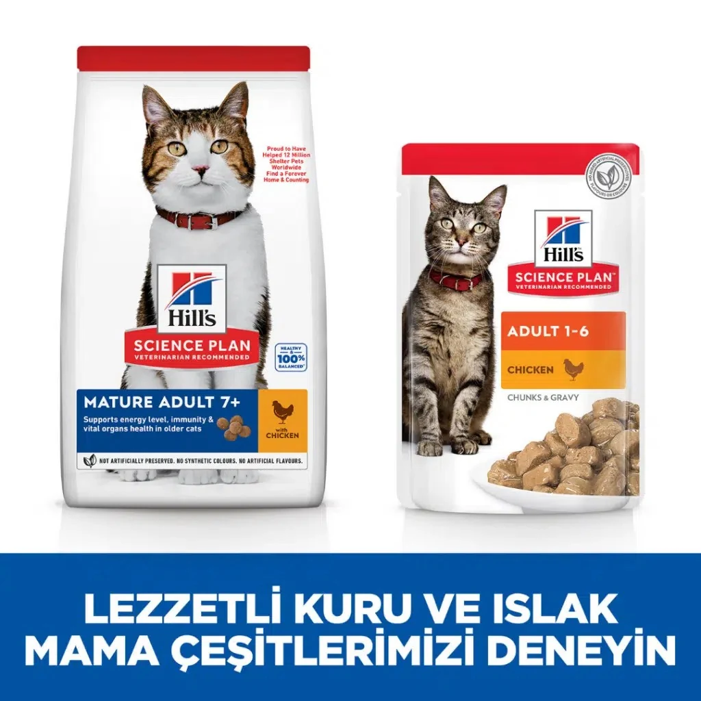 Görsel küçük resim 6