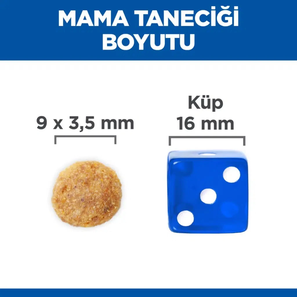Görsel küçük resim 7