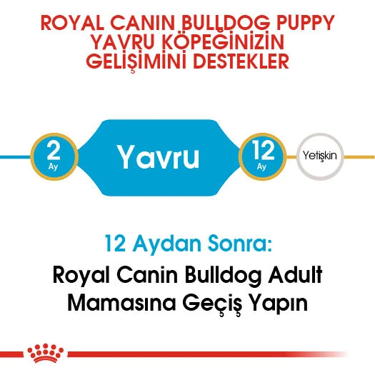 Görsel küçük resim 3