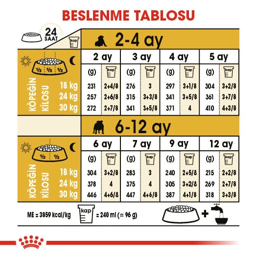 Görsel küçük resim 4
