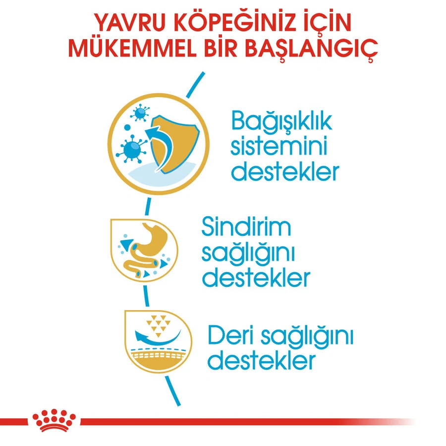 Görsel küçük resim 8