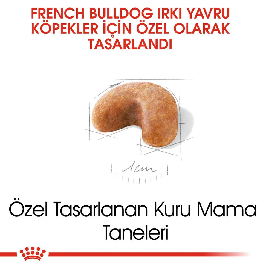 Görsel küçük resim 7