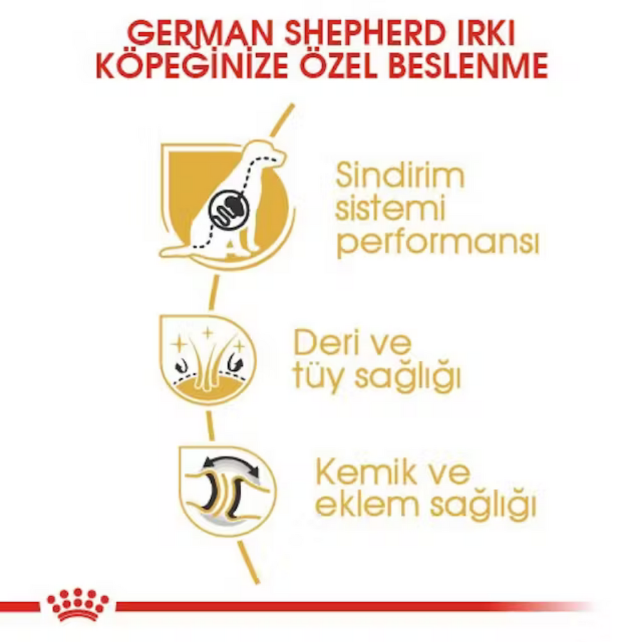 Görsel küçük resim 4