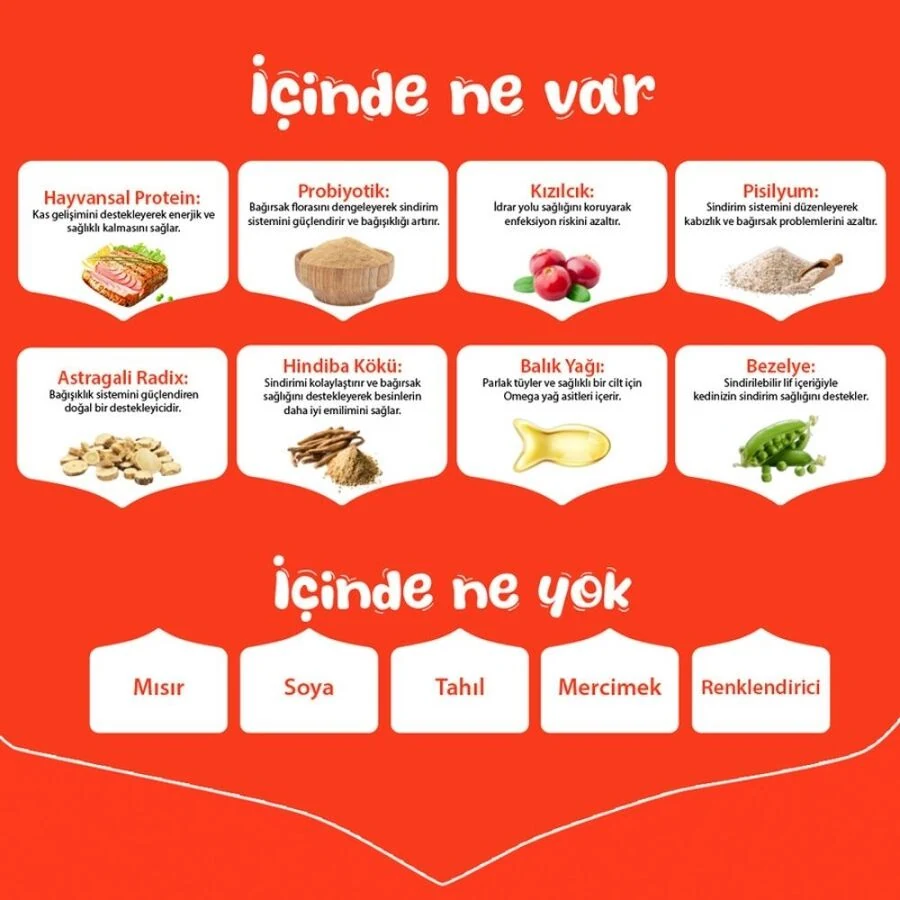 Görsel küçük resim 3