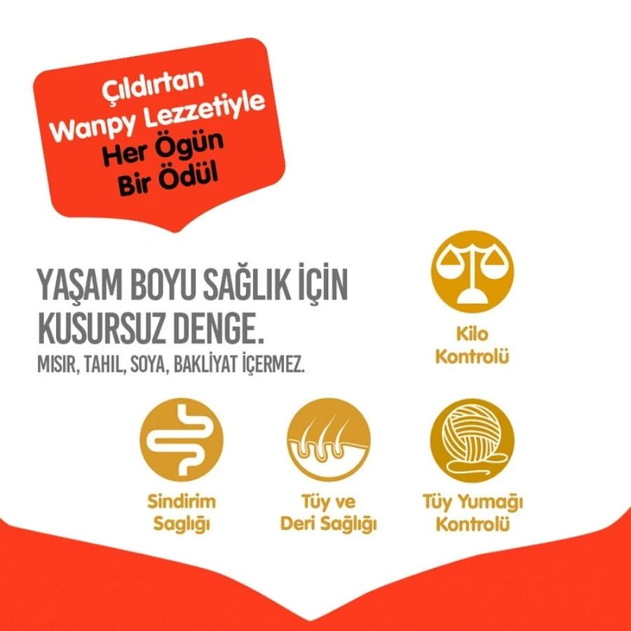 Görsel küçük resim 5