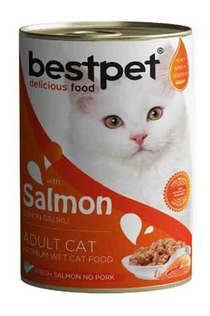Bestpet Somon Balıklı Yetişkin Kedi Konservesi 400gr