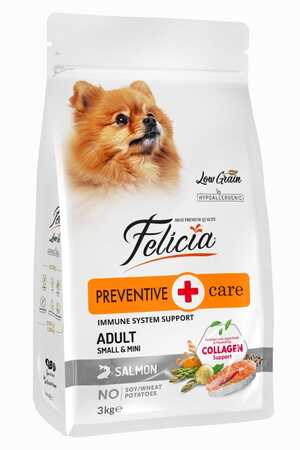 Felicia Düşük Tahıllı Hipoalerjenik Somonlu Küçük Irk Yetişkin Köpek Maması 3kg