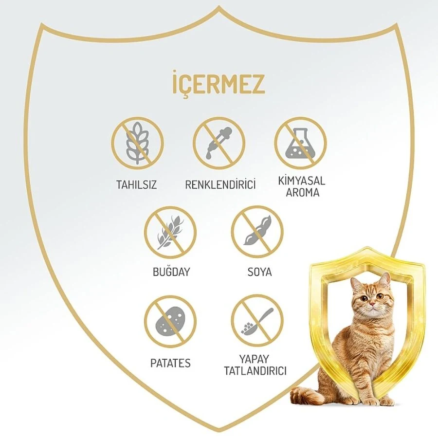 Görsel küçük resim 4