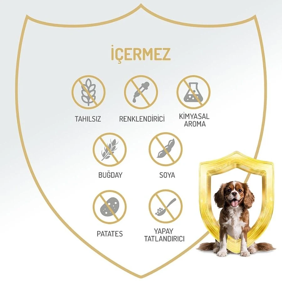 Görsel küçük resim 5