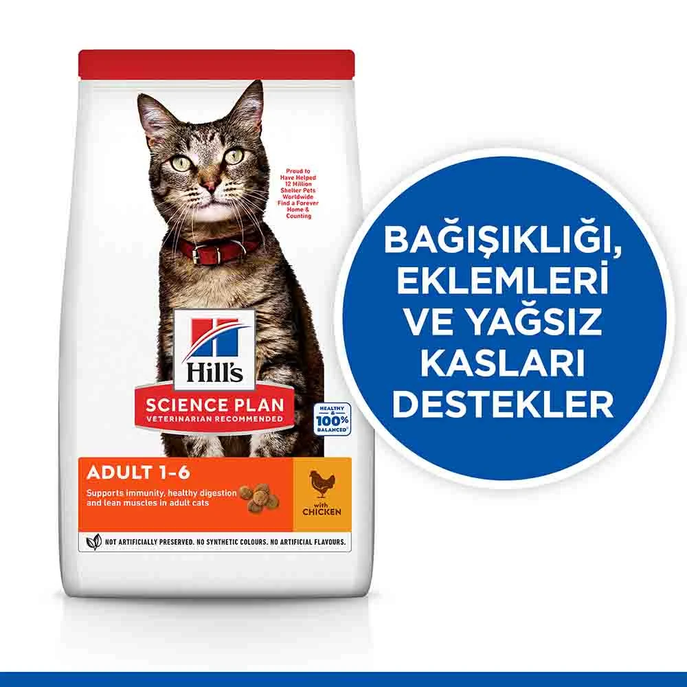 Görsel küçük resim 4