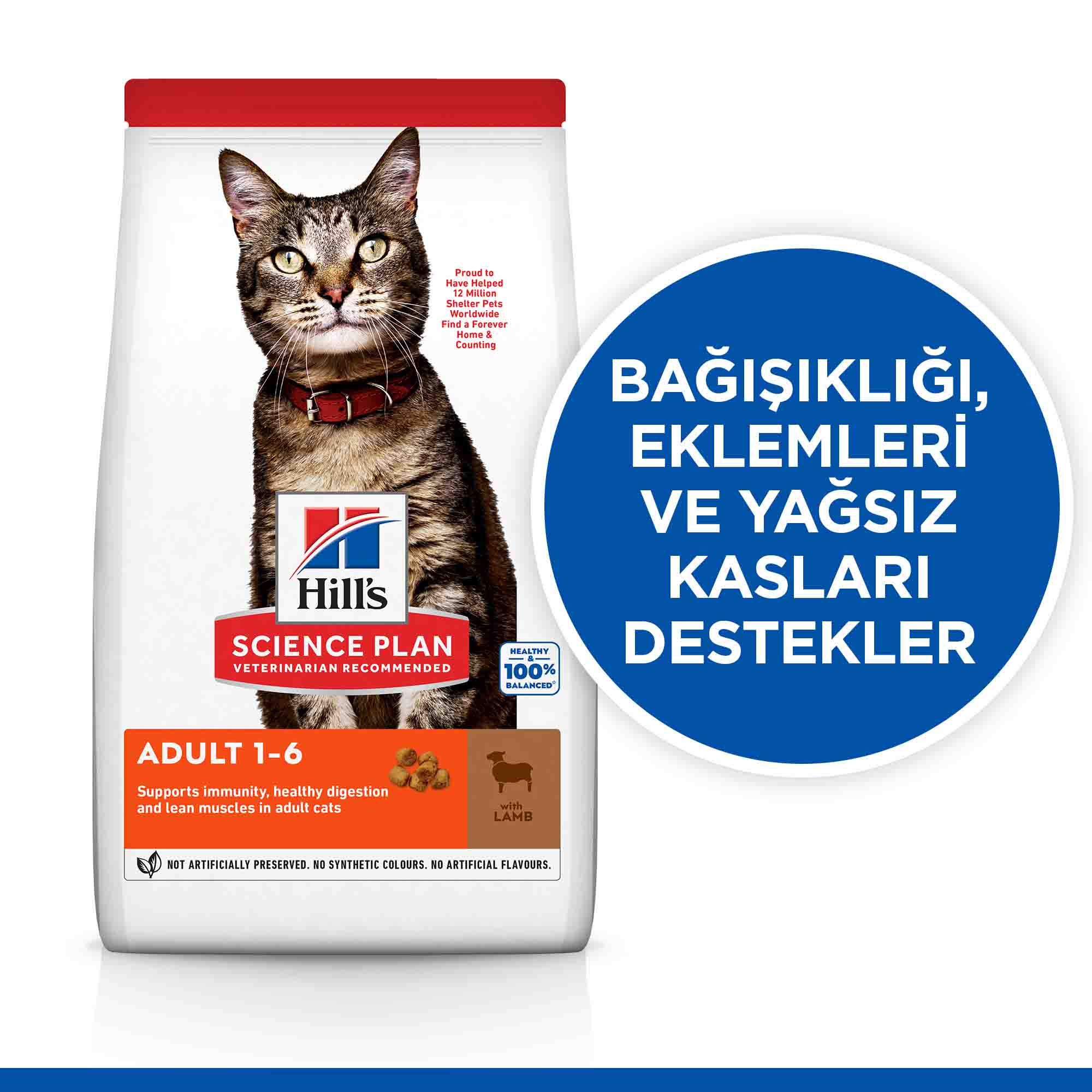 Görsel küçük resim 4