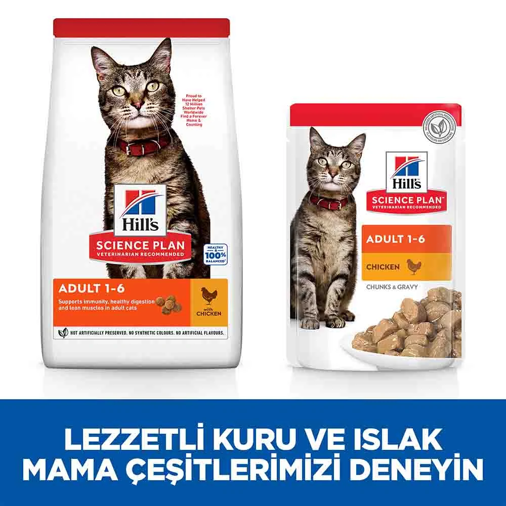Görsel küçük resim 5
