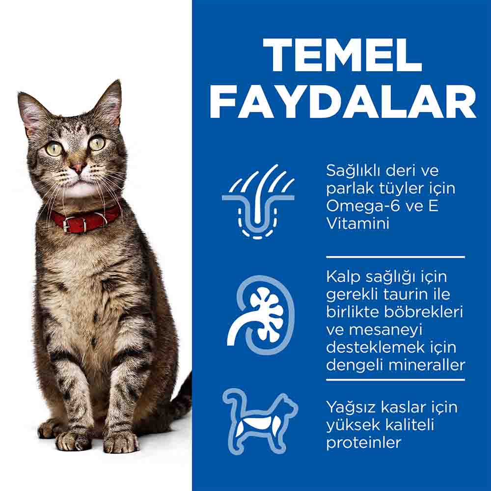 Görsel küçük resim 6