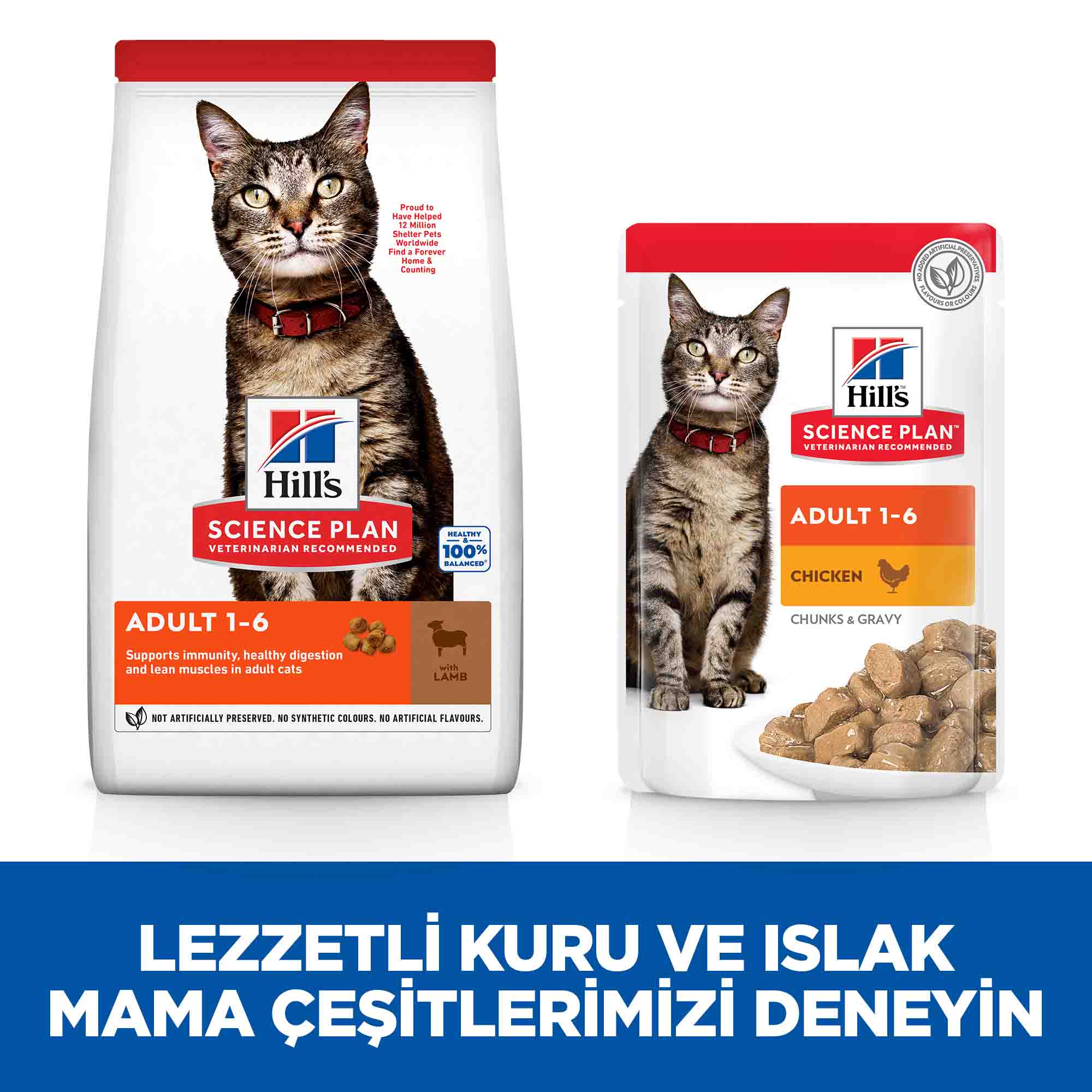 Görsel küçük resim 5