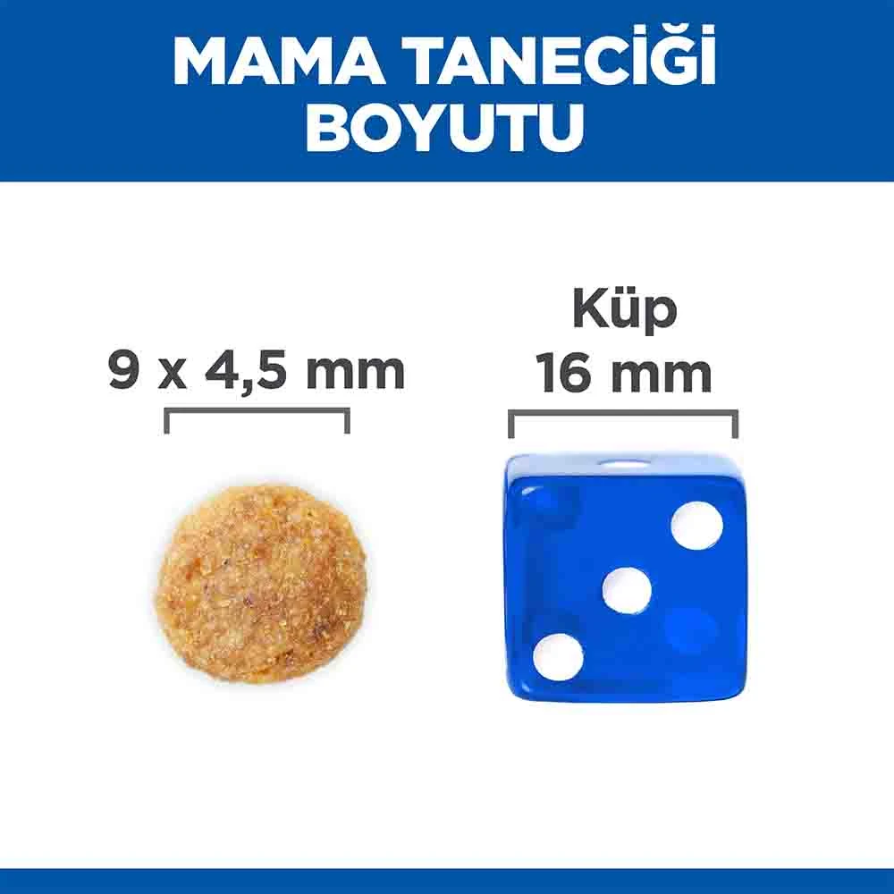Görsel küçük resim 7